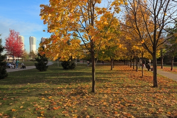 Осенние темы / Москва, Ходынка