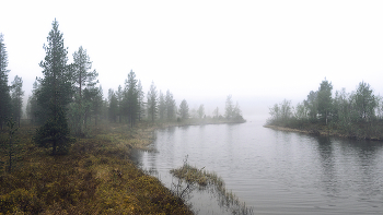 из альбома "Сны леса" / Кольский полуостров, холодная июньская ночь Полярного дня на 69-й параллели