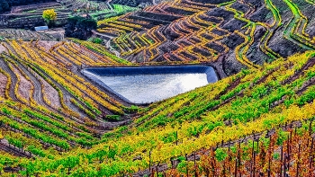 &nbsp; / Poboleda - tardor a les vinyes - Priorat