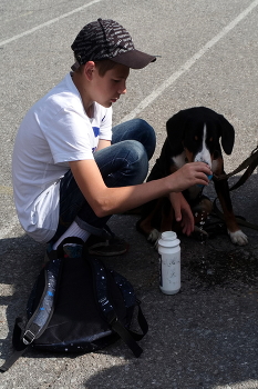 Помощь друга / Перед выставкой собак в жаркий день 


The friend's support 
At the dog show on a hot day