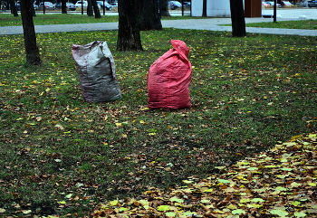 &nbsp; / В городском парке...