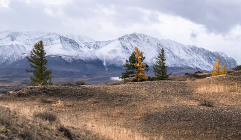 Осень Алтая / У синих гор..