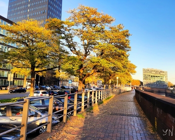 Speicherstadt Hamburg / https://www.youtube.com/watch?v=i0kxa-sex6o&amp;t=47s
https://www.youtube.com/watch?v=kJVKlWcQxCg&amp;t=19s
https://www.youtube.com/watch?v=JYadETNgWMY&amp;t=29s
https://www.youtube.com/watch?v=jbG7j-3WUNs&amp;t=10s
https://www.youtube.com/watch?v=IGn-NNqkBL0&amp;t=70s
https://www.youtube.com/watch?v=MKb8Hzeu2qk&amp;t=17s
https://www.youtube.com/watch?v=g-HDOSvJTUo&amp;t=3s