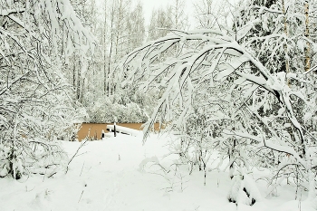 После первого снегопада ... / ***