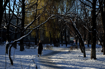 &nbsp; / В городском сквере...