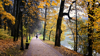 В осеннем парке / ***