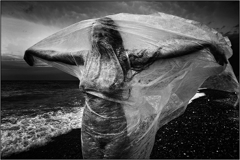 &nbsp; / Из альбома "Белые птицы"