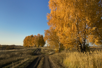 Золотая осень / ***