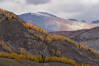 Осень / Алтай