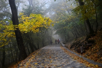 Осенний терренкур...... / Железноводск. Октябрь