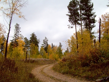 Осень в Сибири / Иркутская область