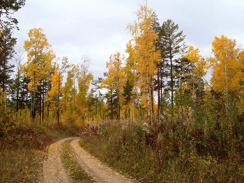 Осень в Сибири / Иркутская область