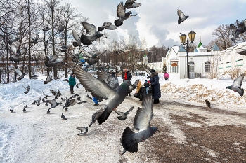 не всё коту масленица... / зима, Подмосковье, городская жизнь