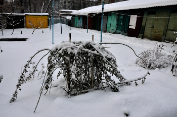  / Старый двор...