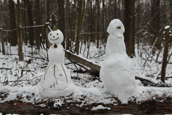Полузимок / Полузимок