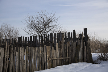   / Рождественская открытка