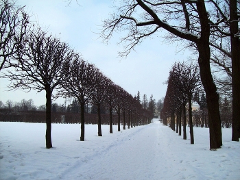 В Царском Селе / Санкт-Петербург. Царское село