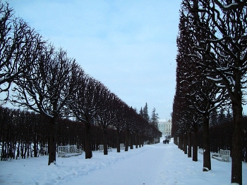 В Царском Селе / Санкт-Петербург. Царское село
