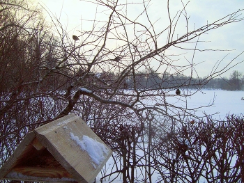 В Царском Селе / Санкт-Петербург. Царское село