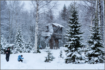 Настоящая зима. / Архангельск. Малые Корелы. Январь.