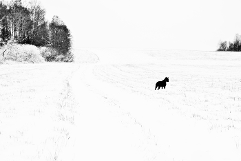 "После угомонившейся вьюги наступает в округе покой..." / "Я, наверно, неправ, я ошибся,
 Я ослеп, я лишился ума.
 Белой женщиной мертвой из гипса,
 Наземь падает навзничь зима ..."
 Б.Пастернак