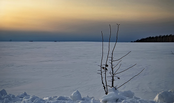Незамерзающий. / Незамерзающий.
