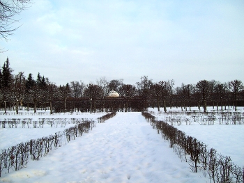 В Царском Селе / Санкт-Петербург. Царское Село