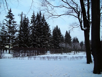 В Царском Селе / Санкт-Петербург. Царское Село