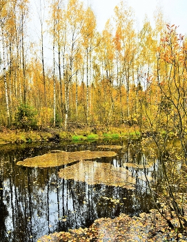 Осенний пруд ... / ***