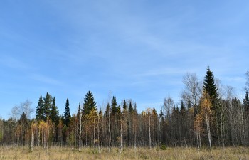 осень / _____