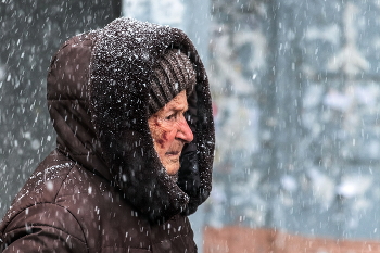 Старейшая жительница нашего дома. / Каждый день, в любую погоду ...