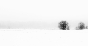 &quot;Ни огня, ни черной хаты, глушь и снег ...&quot; / &quot;Ни огня, ни черной хаты ...
 Глушь и снег ... Навстречу мне
 Только версты полосаты
 Попадаются одне.
 Скучно, грустно ...&quot;
 А.С.Пушкин