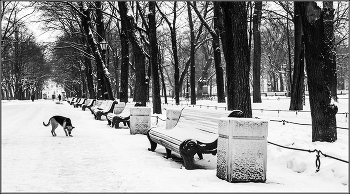 Депрессивный Петербург. / Санкт-Петербург. Февраль.