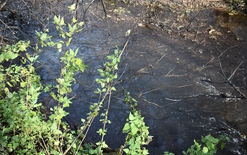 речка / _____