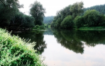 Тихое утро / Сюжет у реки Протва. Калужская область.