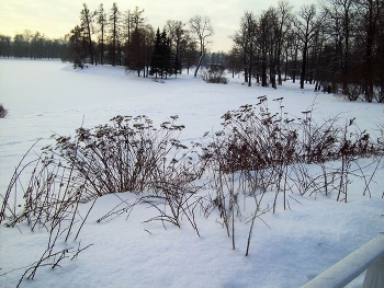 В Царском Селе / Санкт-Петербург, Царское Село