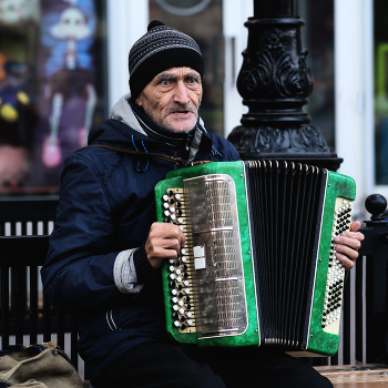 Баянист / ***