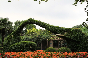 Китайские зарисовки. / Шанхайский зоопарк