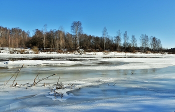 Весна близко ... / февраль ...