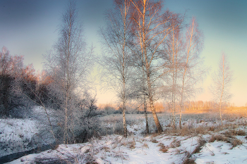 Коснулось солнце верхушек берёз / Последние дни зимы.Sigma SD1M