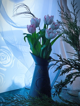 A Farewell to winter / Прощание с зимой


Tulips with farewell to winter