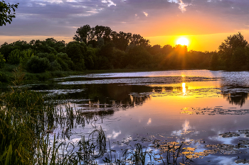 Летний закат. / Озеро Сосновое.