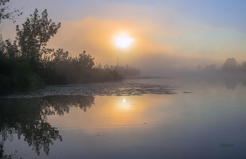 Озеро Сосновое. / ***