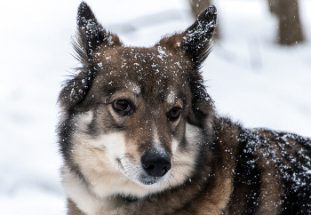Красотка. / ***