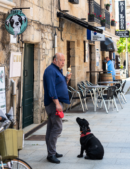 отдай моё мороженное / собачьи радости TONY`S