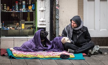 Вот такая работа, хозяина кормить / ***