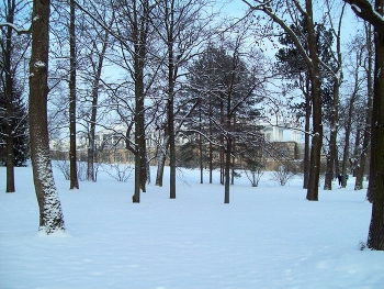 В Царском Селе / Санкт-Петербург. Царское Село.