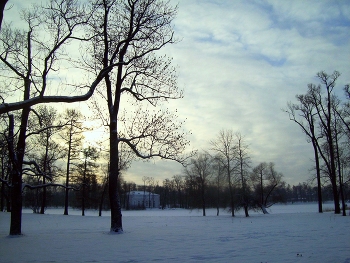 В Царском Селе / Санкт-Петербург. Царское Село.