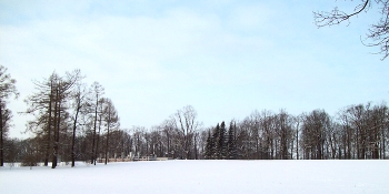 В Царском Селе / Санкт-Петербург. Царское Село
