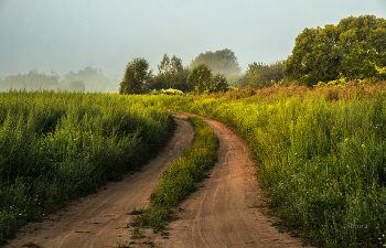 Дорога в поле. / ***